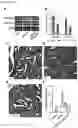Fig. 10 - METHODS OF TREATING RIGHT VENTRICULAR FUNCTION IN PULMONARY HYPERTENSION