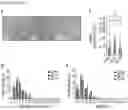 Fig. 23 - METHODS OF TREATING RIGHT VENTRICULAR FUNCTION IN PULMONARY HYPERTENSION