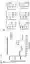 Fig. 26 - METHODS OF TREATING RIGHT VENTRICULAR FUNCTION IN PULMONARY HYPERTENSION