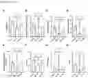 Fig. 29 - METHODS OF TREATING RIGHT VENTRICULAR FUNCTION IN PULMONARY HYPERTENSION