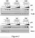 Fig. 08 - COMPOSITIONS AND METHODS FOR TREATING CDK4/6-MEDIATED CANCER