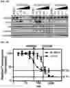 Fig. 03 - AURORA KINASE INHIBITORS