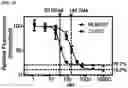 Fig. 04 - AURORA KINASE INHIBITORS