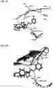 Fig. 06 - AURORA KINASE INHIBITORS