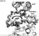 Fig. 08 - AURORA KINASE INHIBITORS