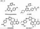 Fig. 09 - AURORA KINASE INHIBITORS