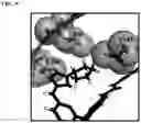 Fig. 11 - AURORA KINASE INHIBITORS