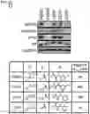 Fig. 12 - AURORA KINASE INHIBITORS