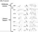 Fig. 22 - AURORA KINASE INHIBITORS