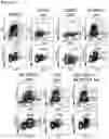 Fig. 36 - AURORA KINASE INHIBITORS