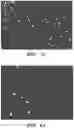 Fig. 03 - Small molecules for mouse satellite cell proliferation