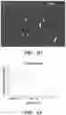 Fig. 05 - Small molecules for mouse satellite cell proliferation