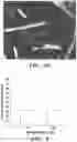 Fig. 08 - Small molecules for mouse satellite cell proliferation