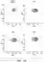 Fig. 10 - Small molecules for mouse satellite cell proliferation