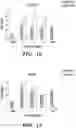 Fig. 17 - Small molecules for mouse satellite cell proliferation