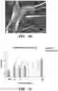 Fig. 19 - Small molecules for mouse satellite cell proliferation