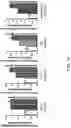 Fig. 29 - Small molecules for mouse satellite cell proliferation