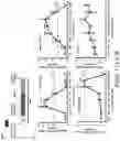 Fig. 31 - Small molecules for mouse satellite cell proliferation