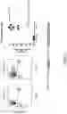 Fig. 43 - Small molecules for mouse satellite cell proliferation