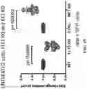 Fig. 45 - Small molecules for mouse satellite cell proliferation