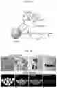 Fig. 02 - Novel therapeutic agent for inflammatory disease