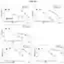 Fig. 09 - Novel therapeutic agent for inflammatory disease