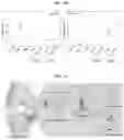 Fig. 22 - Novel therapeutic agent for inflammatory disease