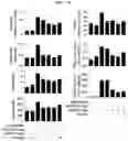 Fig. 33 - Novel therapeutic agent for inflammatory disease