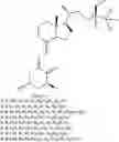 Fig. 01 - USE OF 1-ALPHA-HYDROXYVITAMIN D5 AND RELATED COMPOUNDS AS PROPHYLACTIC OR THERAPEUTIC AGENTS FOR SARS-COV-2 (COVID-19 VIRUS) AND RELATED INFECTIONS