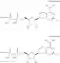 Fig. 16 - CD73 inhibitors