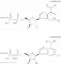 Fig. 17 - CD73 inhibitors