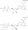 Fig. 18 - CD73 inhibitors
