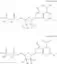 Fig. 24 - CD73 inhibitors
