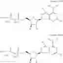 Fig. 40 - CD73 inhibitors