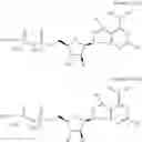 Fig. 41 - CD73 inhibitors