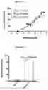 Fig. 06 - Compounds and pharmaceutical uses thereof