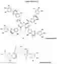 Fig. 20 - Compounds and pharmaceutical uses thereof