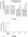 Fig. 40 - Compounds,compositions, and methods for the treatment of disease