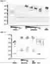 Fig. 07 - Delivery of RNA to trigger multiple immune pathways