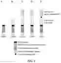 Fig. 04 - CONDITIONALLY ACTIVE RECEPTORS