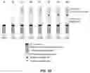 Fig. 08 - CONDITIONALLY ACTIVE RECEPTORS