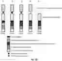 Fig. 14 - CONDITIONALLY ACTIVE RECEPTORS