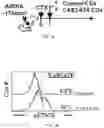 Fig. 02 - CHIMERIC ANTIGEN RECEPTOR T CELLS AND METHODS OF USE THEREOF