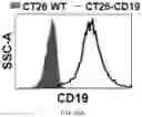 Fig. 100 - CHIMERIC ANTIGEN RECEPTOR T CELLS AND METHODS OF USE THEREOF