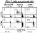 Fig. 14 - CHIMERIC ANTIGEN RECEPTOR T CELLS AND METHODS OF USE THEREOF