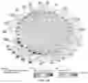 Fig. 27 - CHIMERIC ANTIGEN RECEPTOR T CELLS AND METHODS OF USE THEREOF