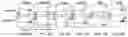 Fig. 31 - CHIMERIC ANTIGEN RECEPTOR T CELLS AND METHODS OF USE THEREOF