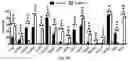 Fig. 32 - CHIMERIC ANTIGEN RECEPTOR T CELLS AND METHODS OF USE THEREOF