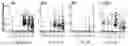 Fig. 35 - CHIMERIC ANTIGEN RECEPTOR T CELLS AND METHODS OF USE THEREOF