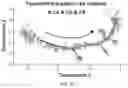 Fig. 40 - CHIMERIC ANTIGEN RECEPTOR T CELLS AND METHODS OF USE THEREOF